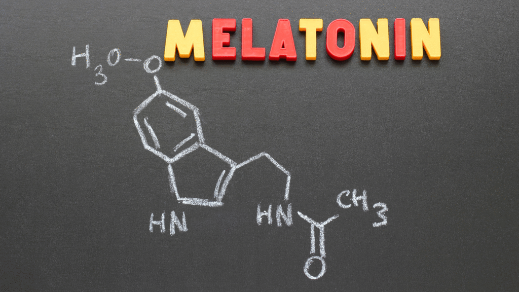 brain hippocampus (2)