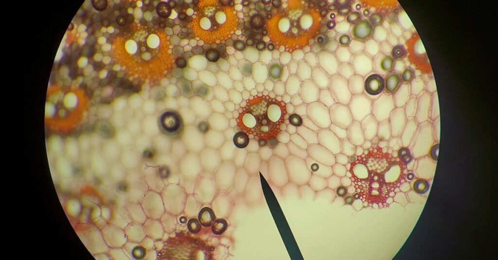 An intricate microscopic view of plant cells showing vibrant patterns and structures through a microscope lens.