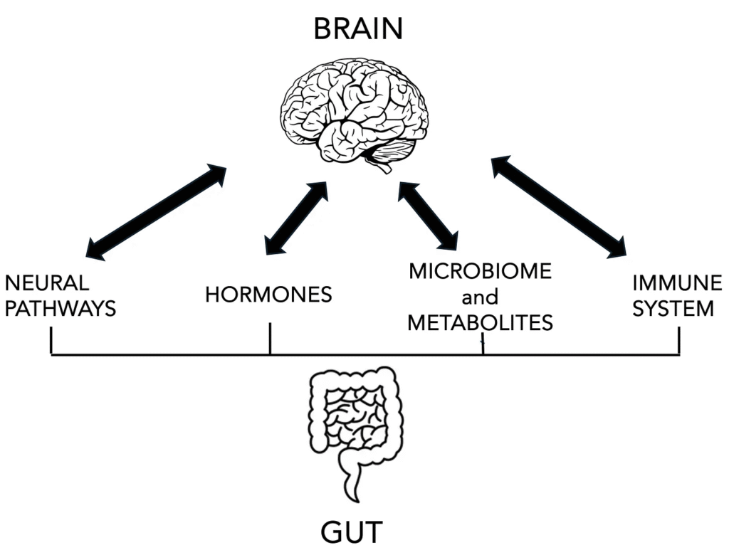 screenshot 2025 11 12 at 10.24.38 pm