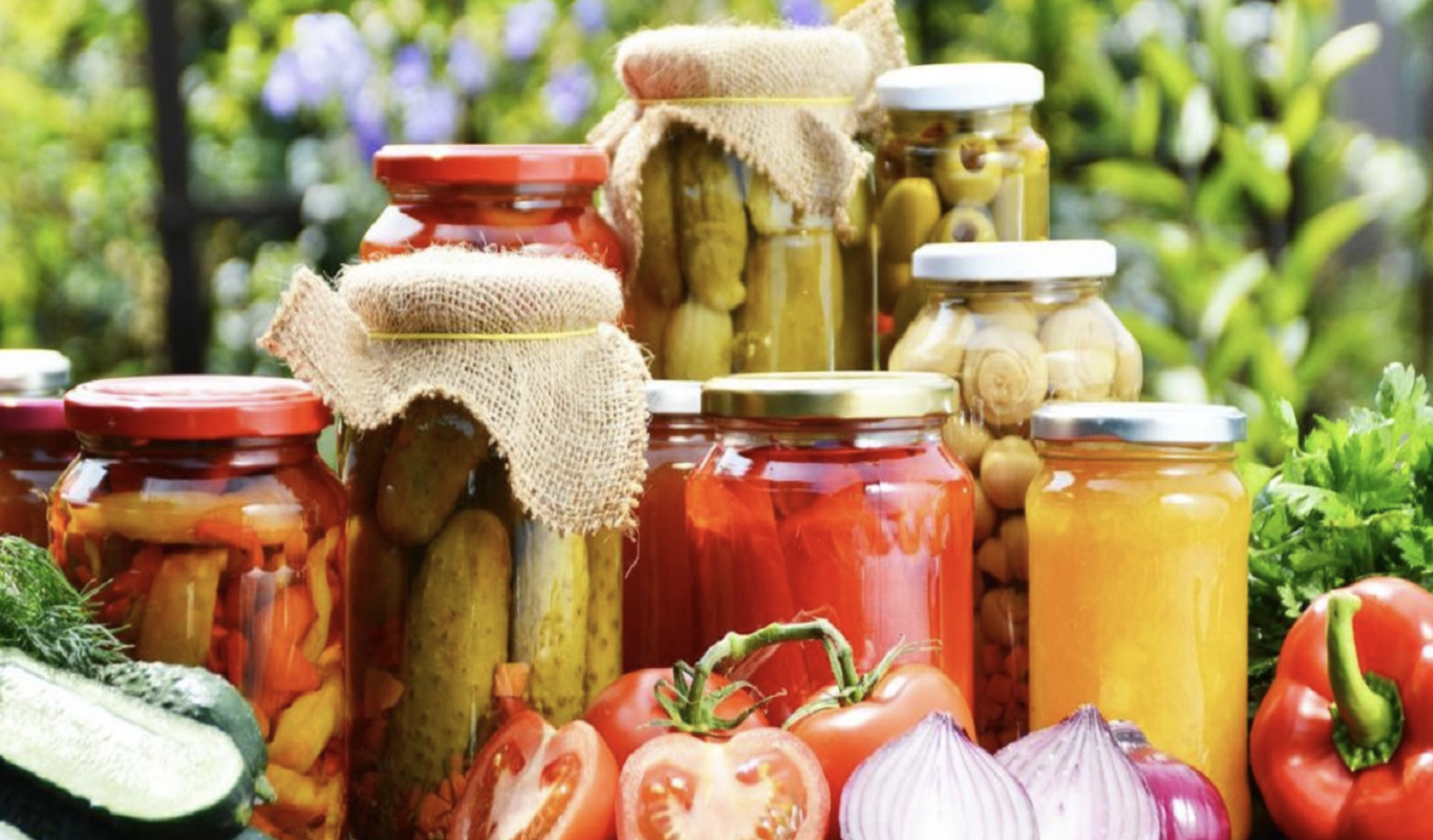 screenshot 2025 11 12 at 9.54.51 pm