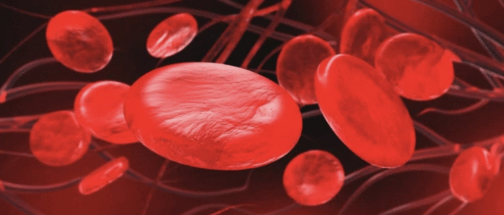 🌍 “Touching the Earth Changes Your Blood.” screenshot 2025 11 13 at 11.39.53 am