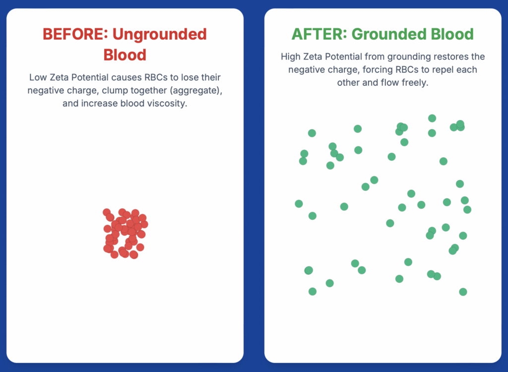 🌍 “Touching the Earth Changes Your Blood.” screenshot 2025 11 13 at 11.57.48 am