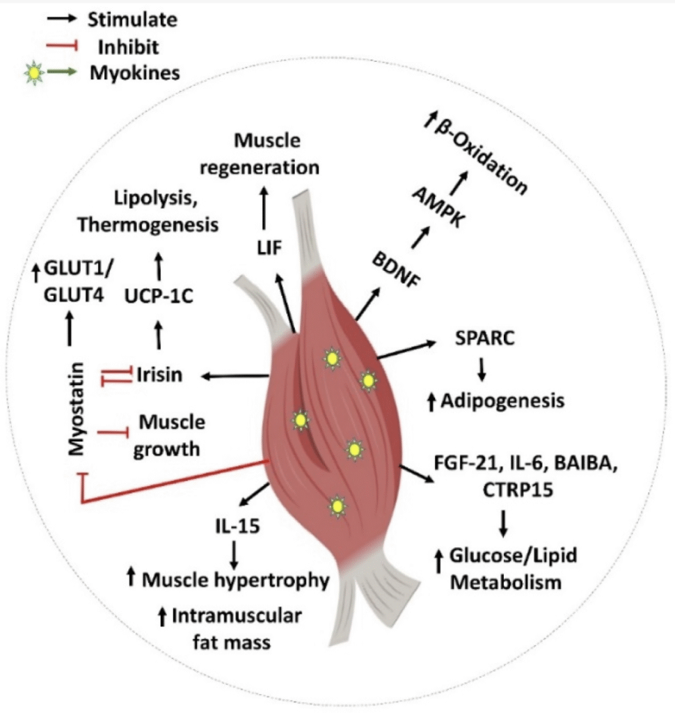 screenshot 2025 11 13 at 12.23.51 am