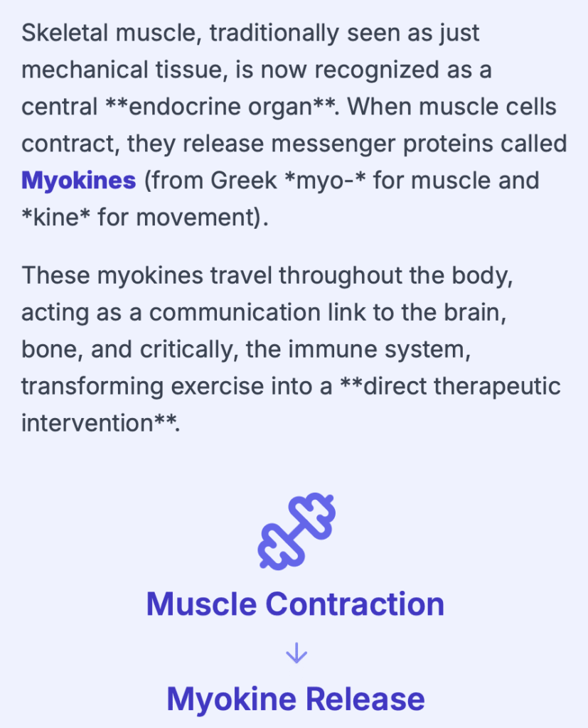 screenshot 2025 11 13 at 12.44.21 am