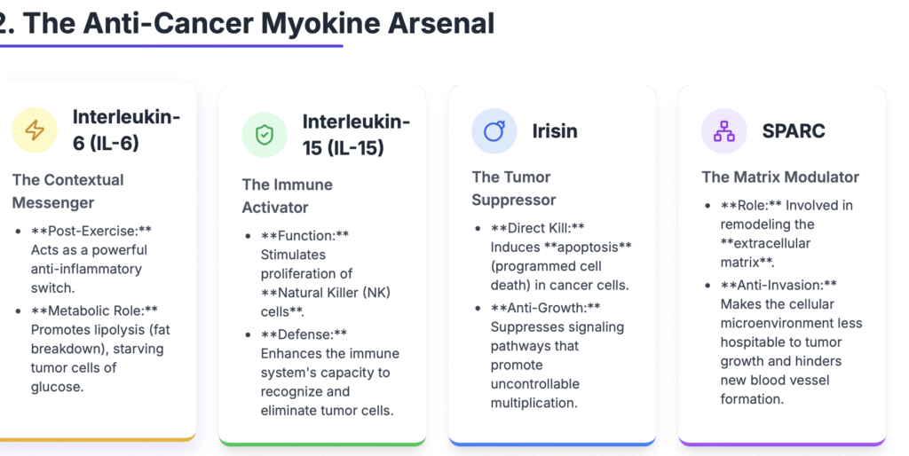 screenshot 2025 11 13 at 12.45.12 am