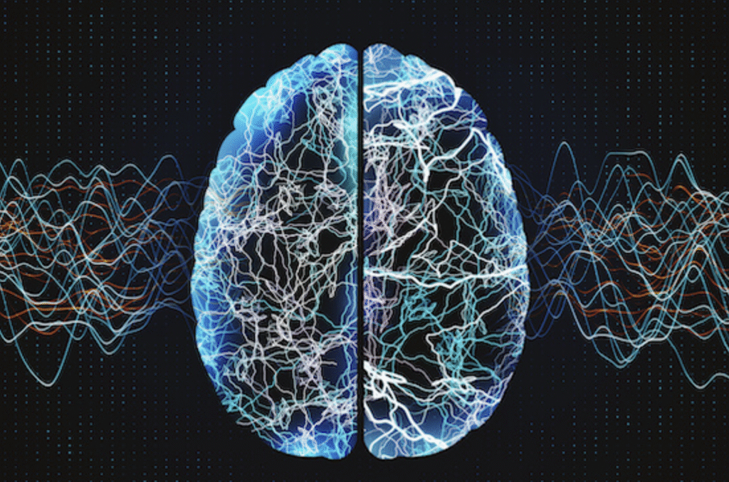 screenshot 2025 11 13 at 4.18.36 pm