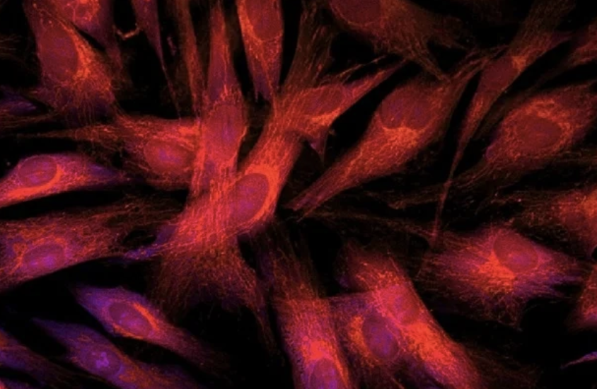 screenshot 2025 11 13 at 4.25.29 pm