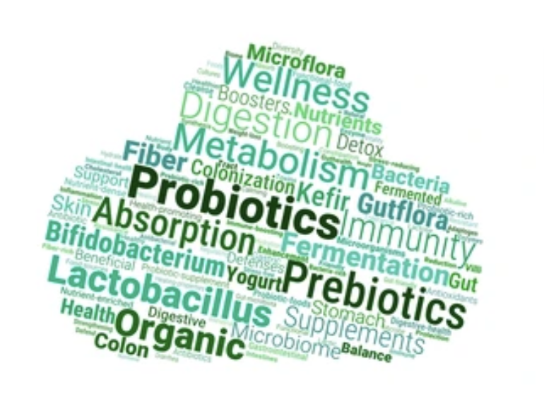 Screenshot 2025 11 16 At 10.22.50 PM