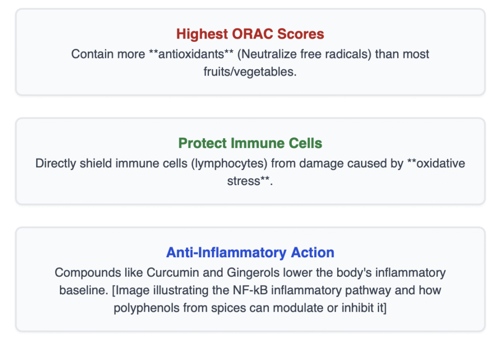 Screenshot 2025 11 16 At 10.32.37 PM 1024x700