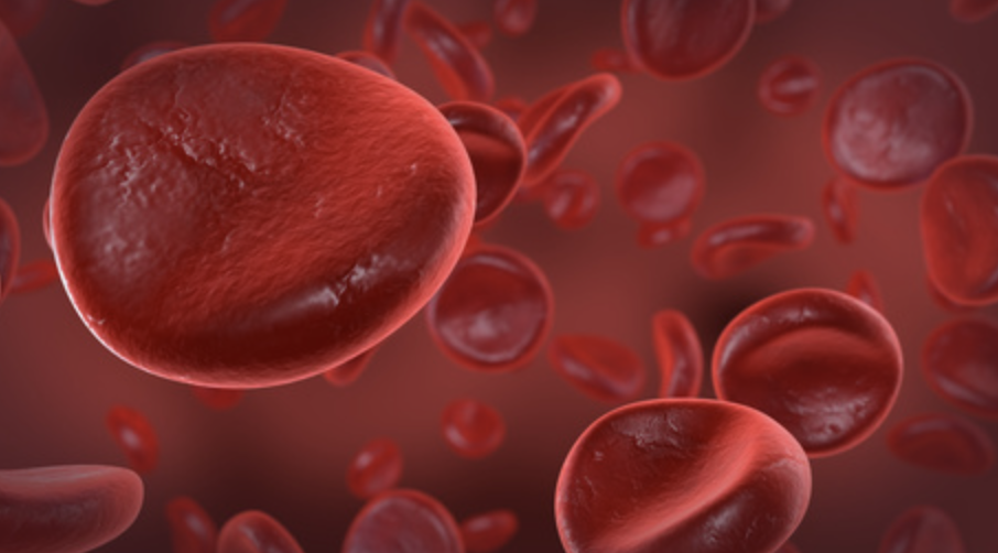 Screenshot 2025 11 16 At 10.42.22 PM