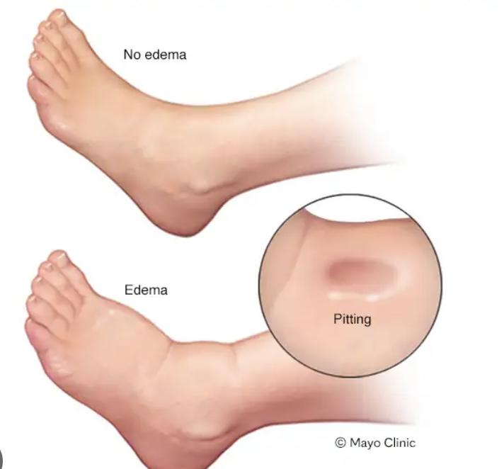 Screenshot 2025 11 16 At 10.42.52 PM