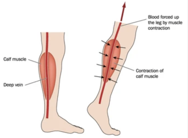 Screenshot 2025 11 16 At 10.44.58 PM