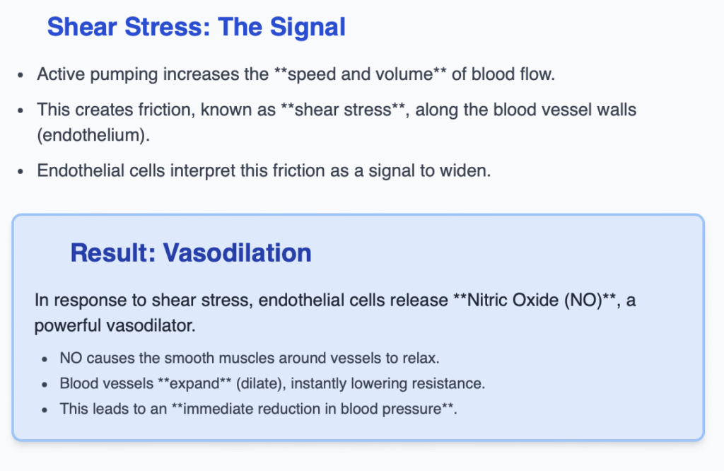 Screenshot 2025 11 16 At 10.50.22 PM 1024x666