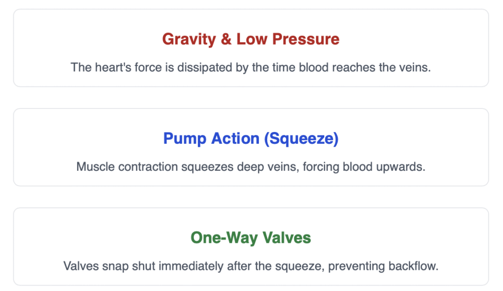 Screenshot 2025 11 16 At 10.50.49 PM 1024x593