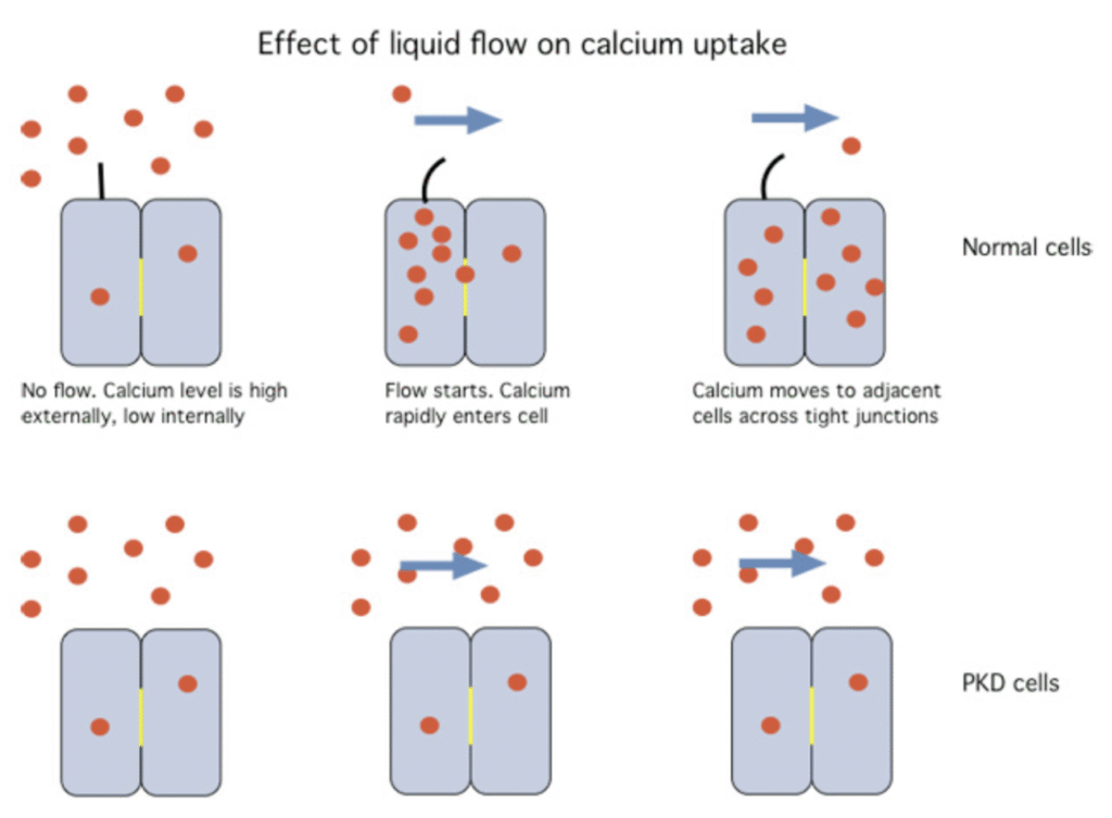 Screenshot 2025 11 16 At 8.16.41 PM 1024x753