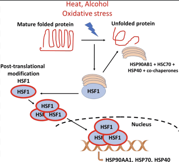 Screenshot 2025 11 16 At 8.49.14 PM