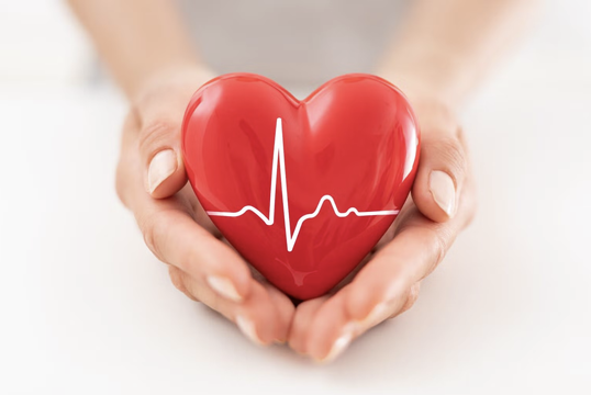 Screenshot 2025 11 16 At 8.50.23 PM