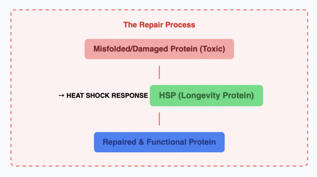 Screenshot 2025 11 16 At 9.07.31 PM 1024x573