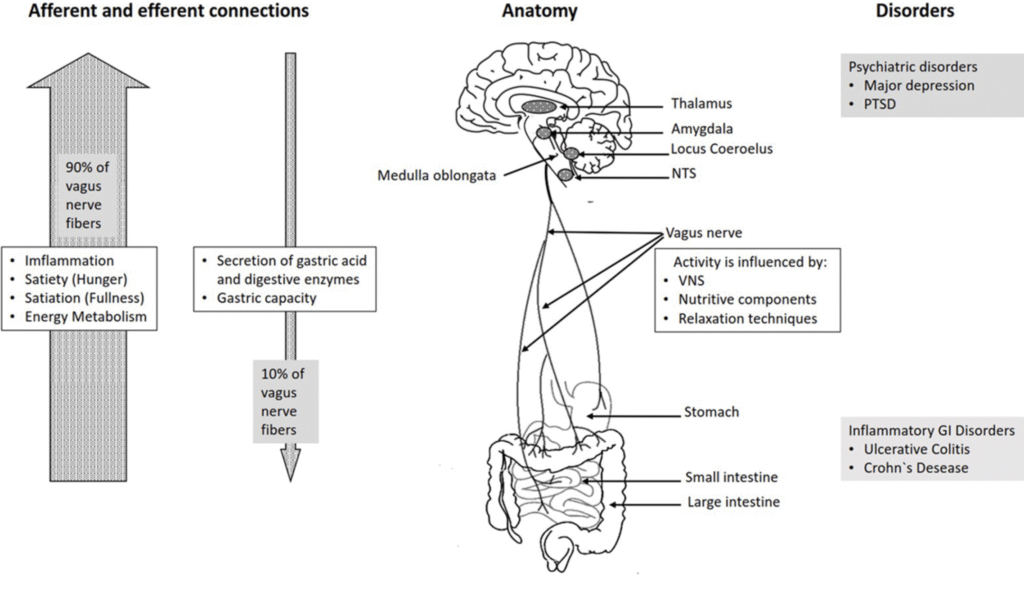 Screenshot 2025 11 16 At 9.43.40 PM 1024x592
