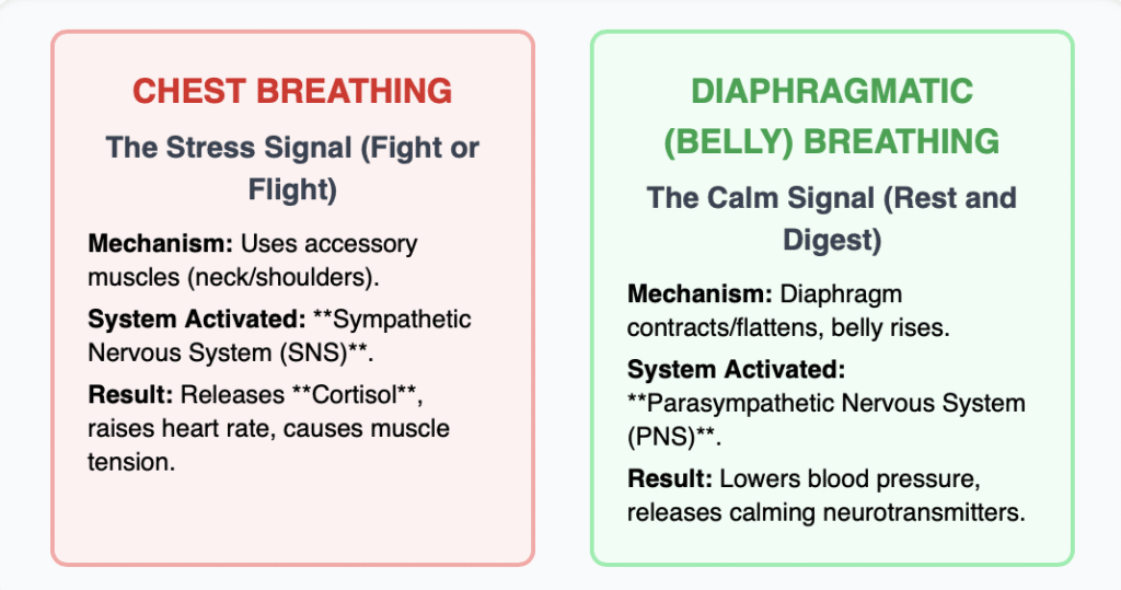 Screenshot 2025 11 16 At 9.51.38 PM 1024x539