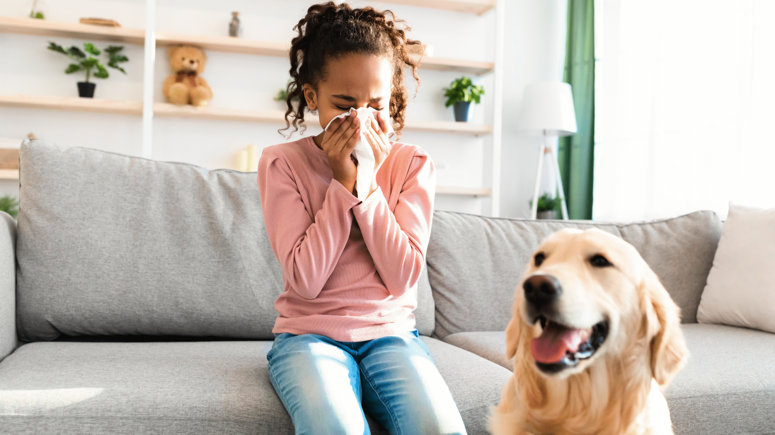 untitled design (17)