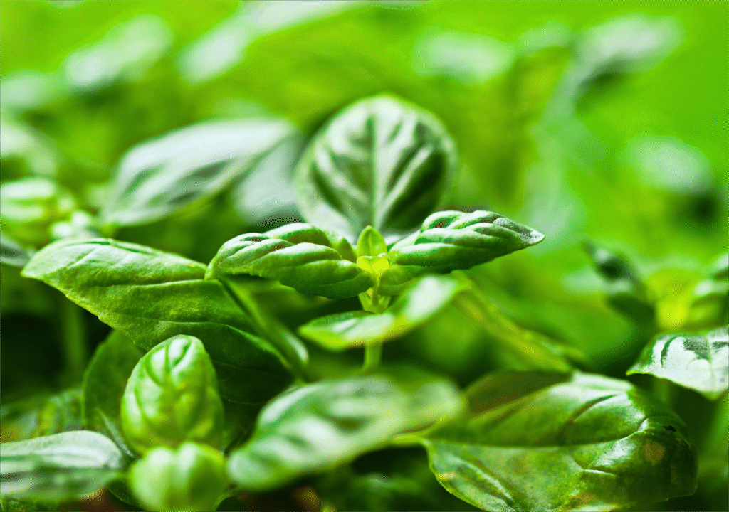 untitled design (19)