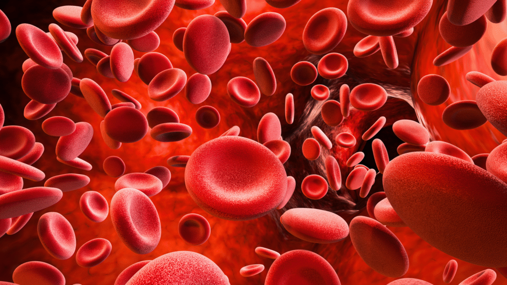 untitled design (22)