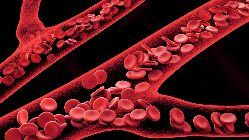 brain hippocampus (1)