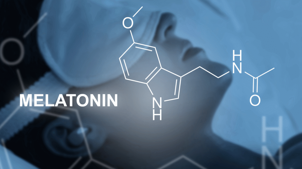 brain hippocampus (3)