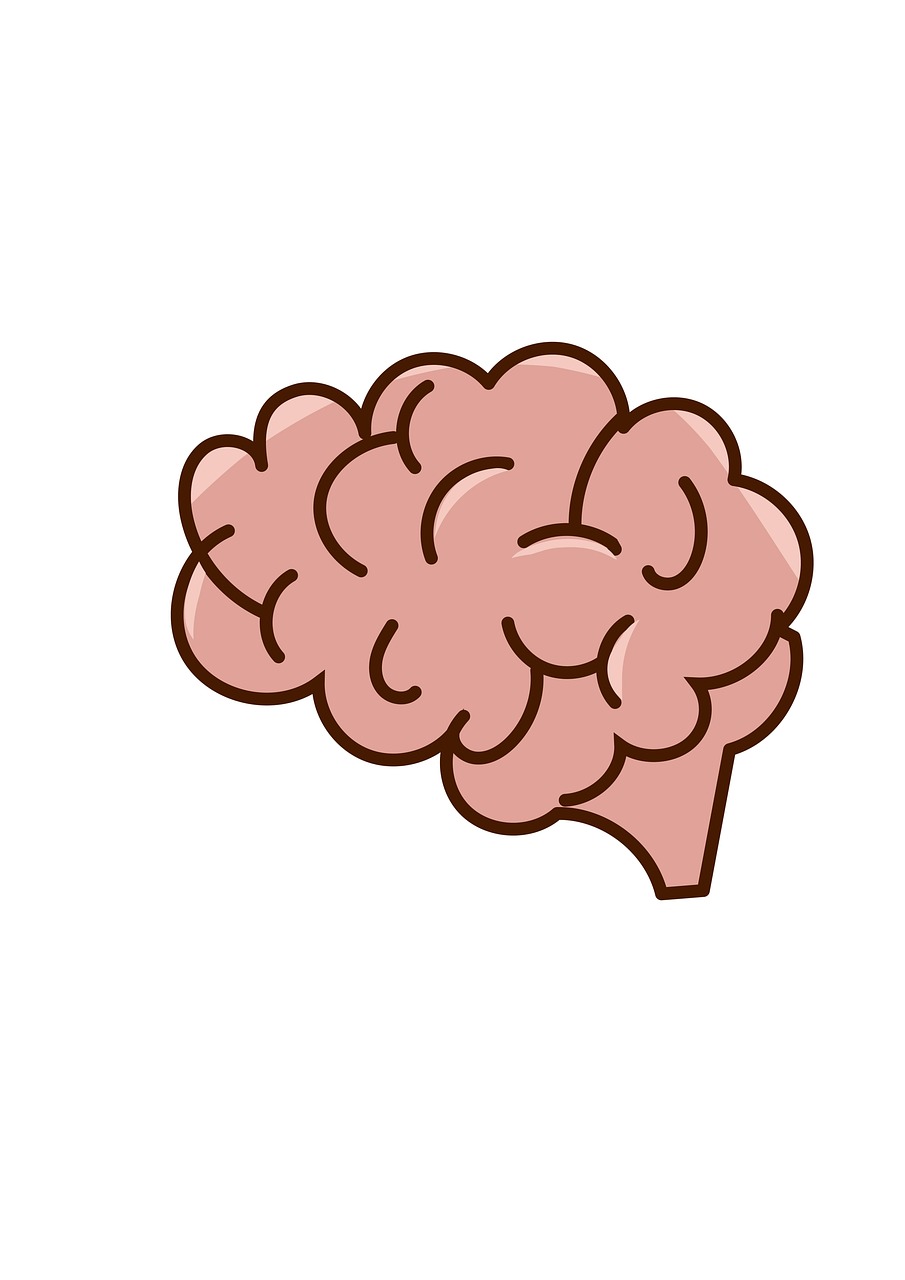 brain, thoughts, human body, face, psychology, concentration, ideas, drawn face, drawing, ask, demand, doubt, split personality, chaos, uncertainty, fear, thought, grey matter, comparison, fantasy, open ear, closed mind, person, brain, brain, brain, brain, brain