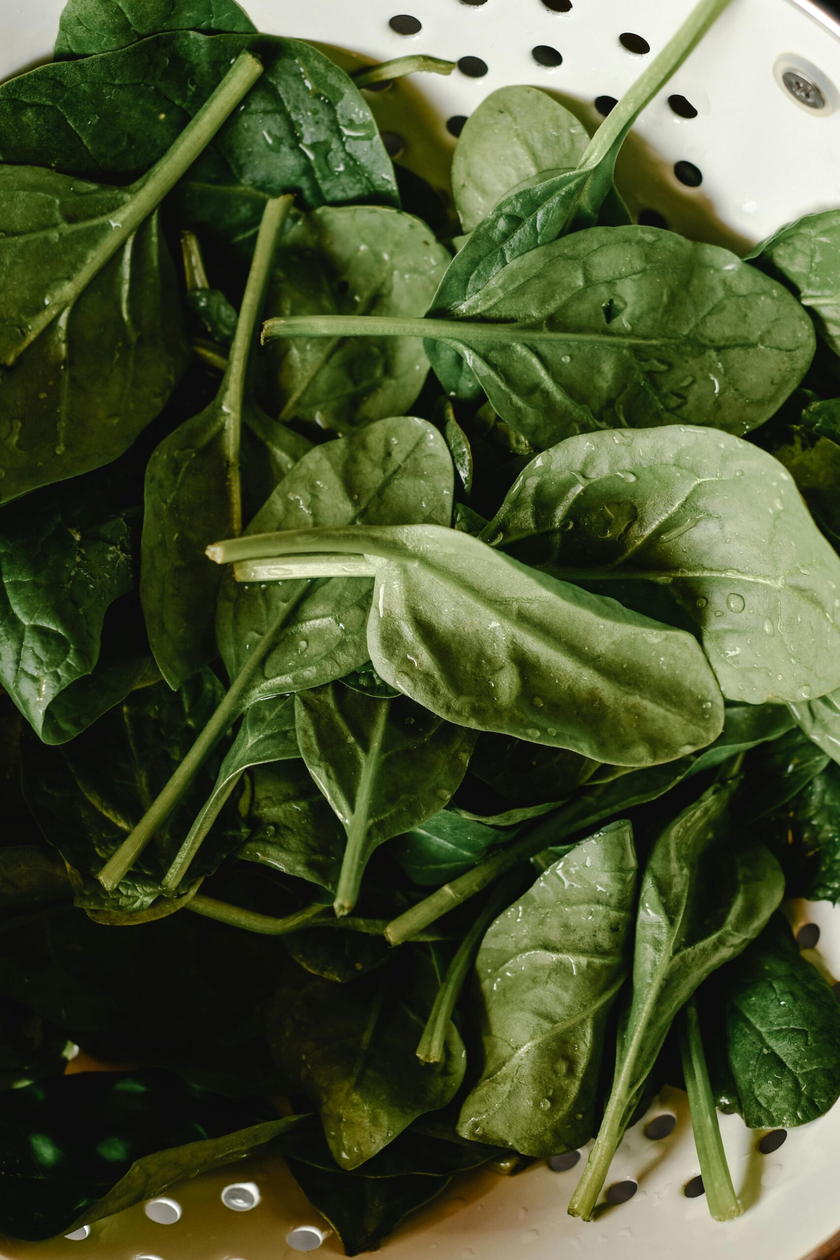 Freshly washed spinach leaves with water droplets in a white colander.